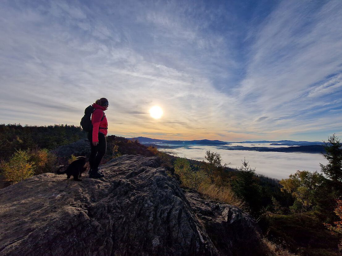 Radtouren im Bayerischen Wald